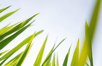 Environmental management certification